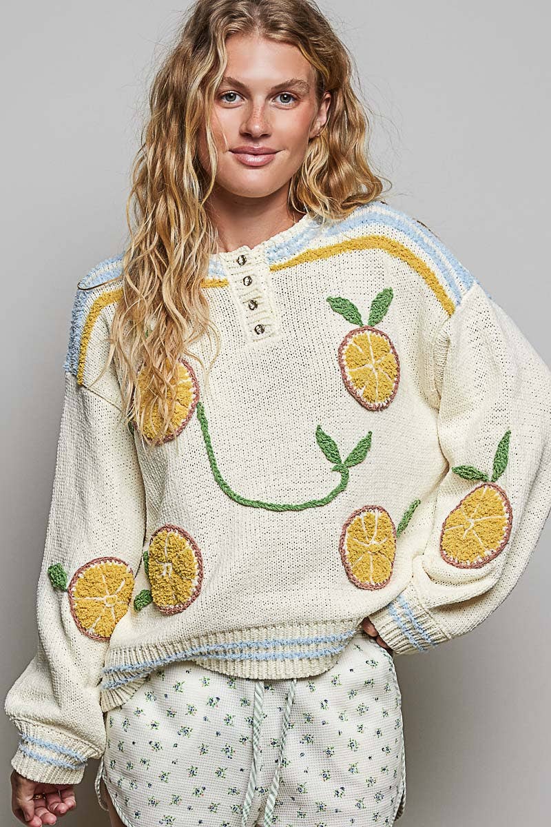 Pol Clothing - 3D Embroidery Long Sleeve Cozy Pullover Berber Sweater