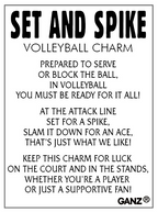 Set and Spike Volleyball Charm