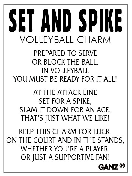 Set and Spike Volleyball Charm