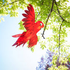 In the Breeze, LLC. - Red Bird Windsock