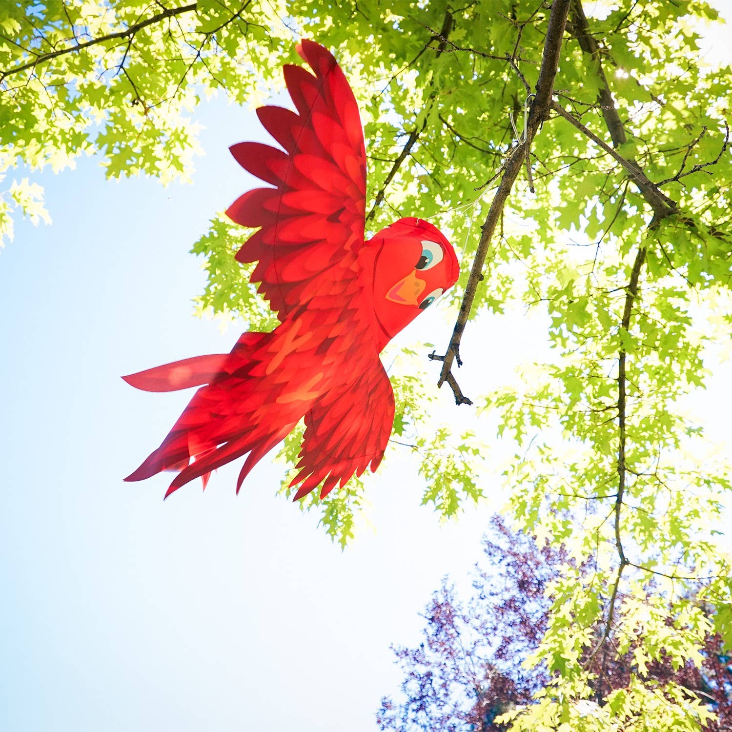 In the Breeze, LLC. - Red Bird Windsock