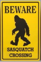 Property Protected by Bigfoot Sign
