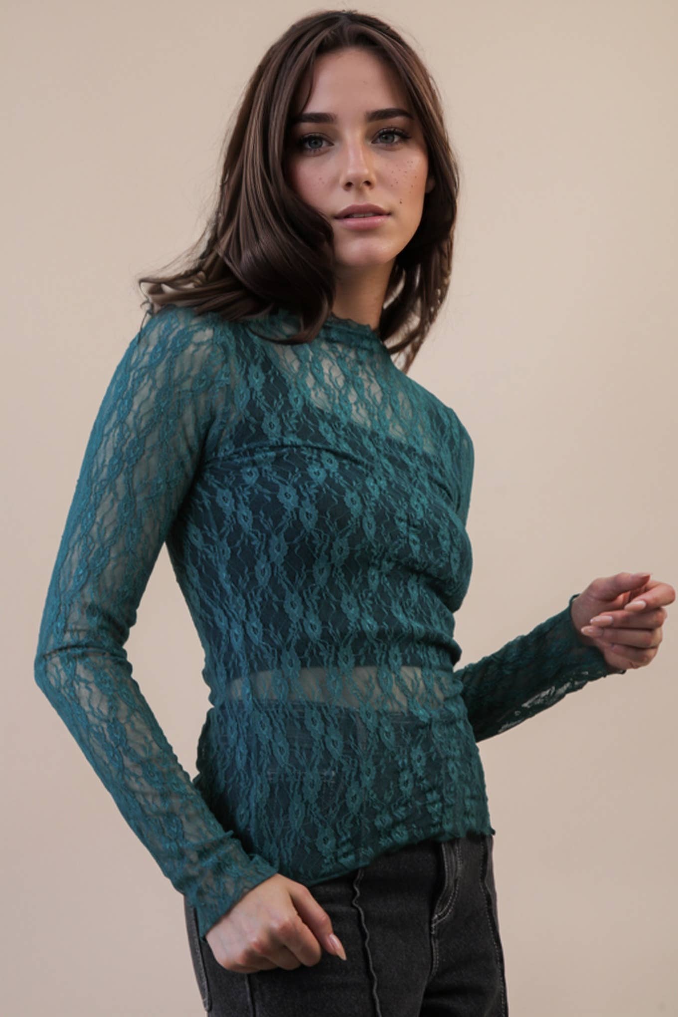 High Neck Fitted Sheer Mesh Lace Knit Top