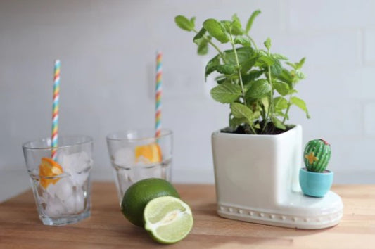 Can't Touch This Mini Nora Fleming