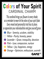 The Colors of Your Spirit Cardinal Charms
