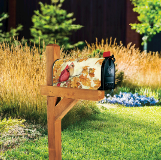 Cardinals in Fall Oak Leaves MailWrap