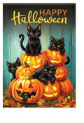 "Cinco Black Kittens" Garden Durasoft™ Flag