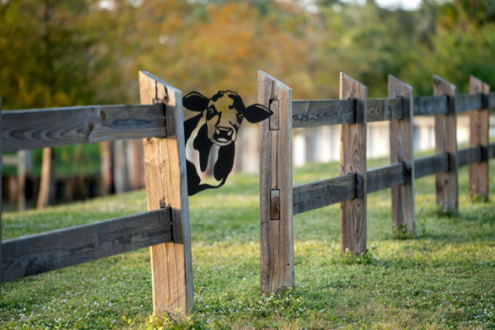 Laser Cut Peeking Farm Animal Decor