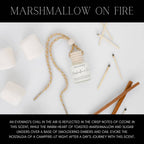 HOLLOWOOD FRAGRANCE - FALL CAR DIFFUSERS