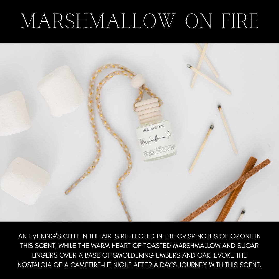 HOLLOWOOD FRAGRANCE - FALL CAR DIFFUSERS