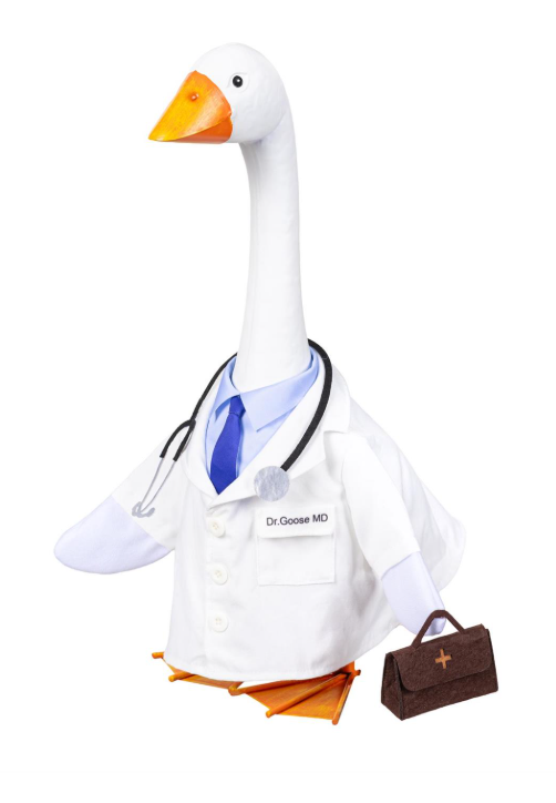 Porch Goose Clothes For 21"H Goose Giddy