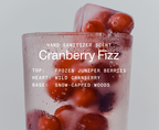 Touchland - Cranberry Fizz Power Mist Hand Sanitizer