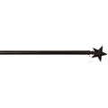 FlagTrends by Carson - FlagTrends Black Star Pole