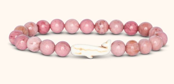 fahlo Scout Track-A-Whale Bracelet