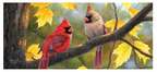 Fall Couple Sassafras Switch Mat