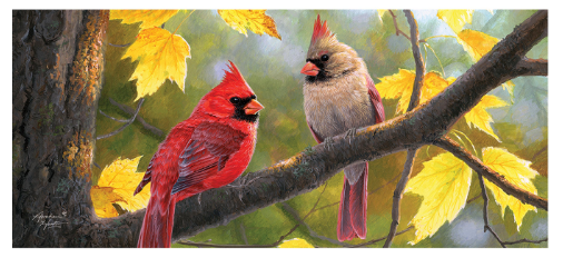 Fall Couple Sassafras Switch Mat