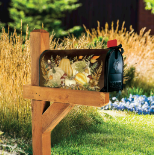 Fall Forest MailWrap