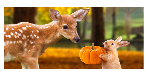 Fawn & Bunny Sassafras Switch Mat