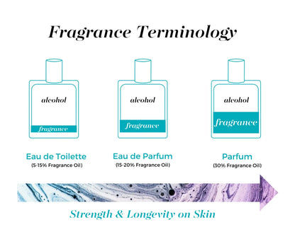 Mixologie - 30A Emerald Coast Vibes | Parfum Spray 30 mL