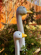 Goose & Company - Geese