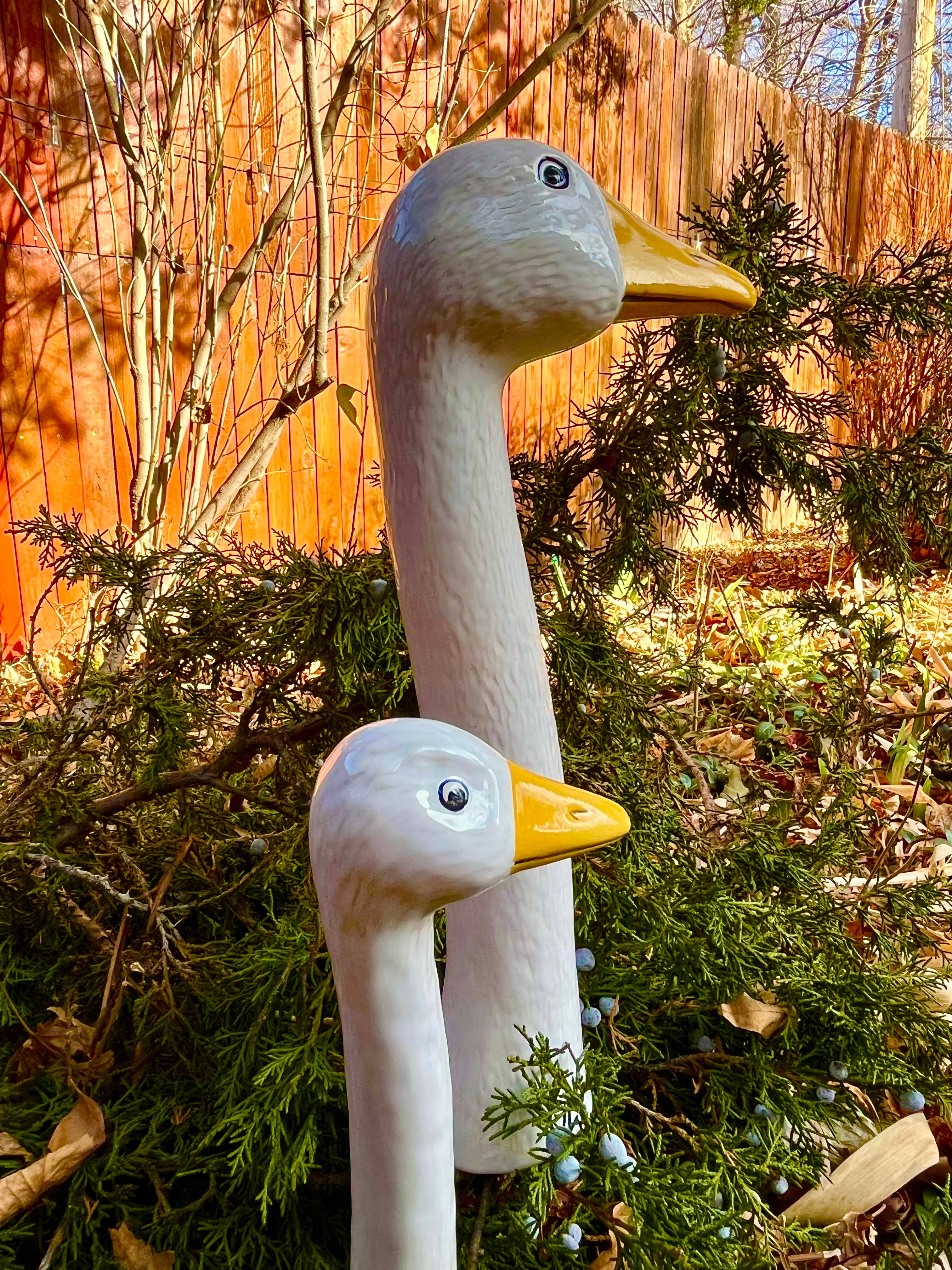 Goose & Company - Geese