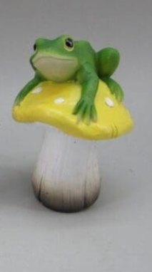 Frog on Mushroom