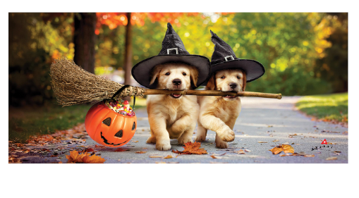 Goldens With Brooms Sassafras Switch Mat