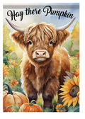 Hay There Pumpkin Flag