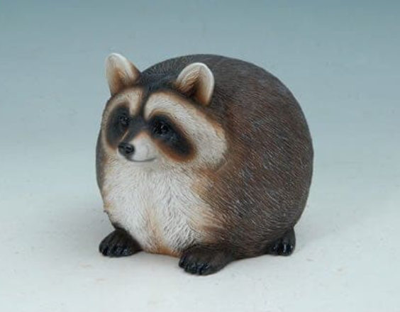 Healthy Raccoon