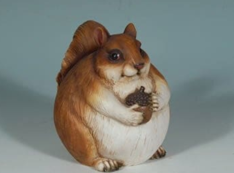 Healthy Squirrel