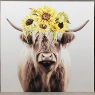 Highland Cow Canvas