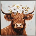 Highland Cow Canvas