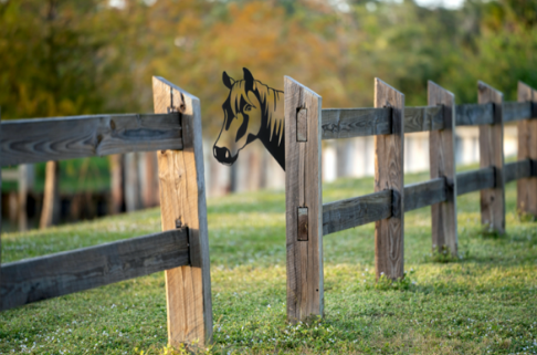 Laser Cut Peeking Farm Animal Decor