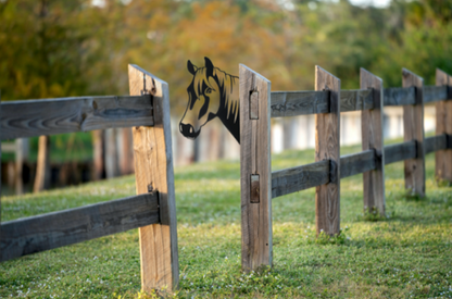 Laser Cut Peeking Farm Animal Decor