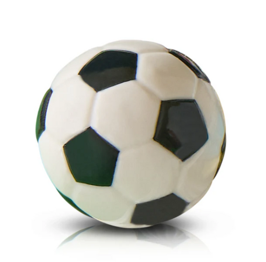 kickin’ it Nora Fleming Soccer Ball