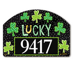 Lucky Horse Shoe YD