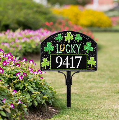 Lucky Horse Shoe YD