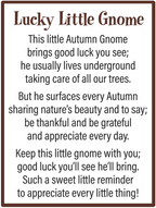 A Lucky Little Gnome