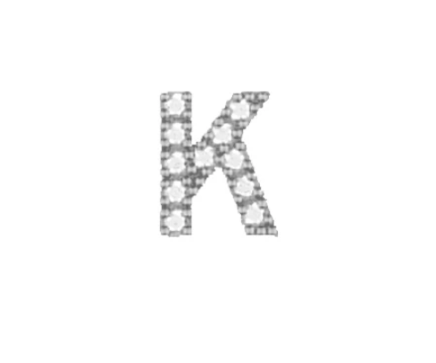 Maya J Monogram Initial Mini Charms