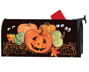 Pumpkin Eyes MailWrap