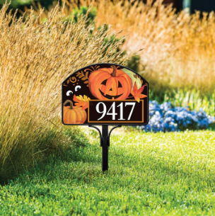 Pumpkin Eyes Yard DeSign