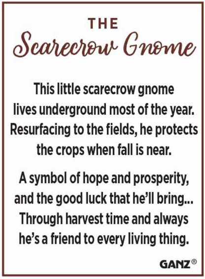 Mini Scarecrow Gnome