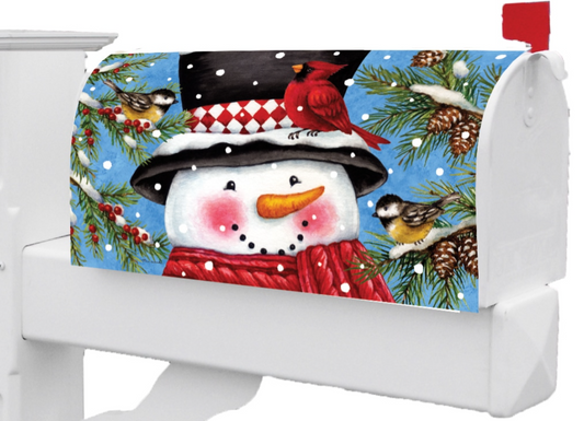 Snowman & Birds-Mailbox Makeover