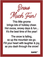Snow Much Fun Gnome Charm