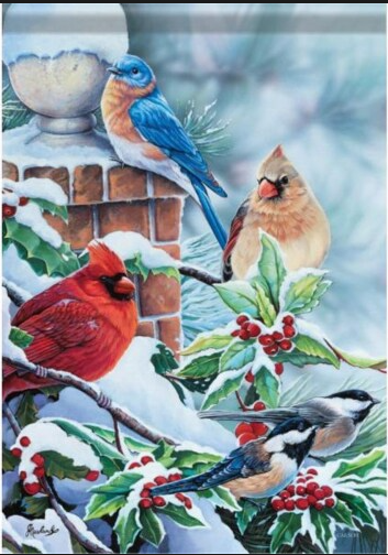Songbirds in Snow FM