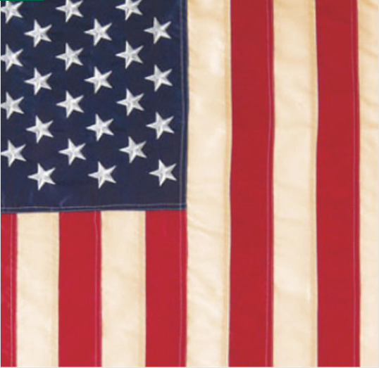 PATRIOTIC AMERICAN TEA STAINED