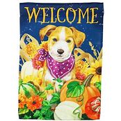 Pumpkin Pup FM