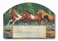 Spring Creek Run Yard Design