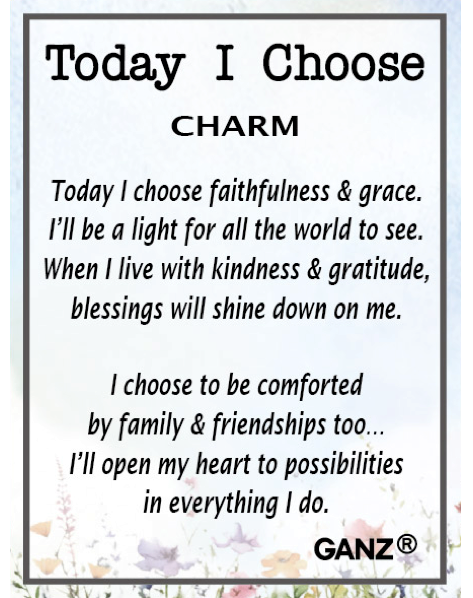 Today I Choose - Charms