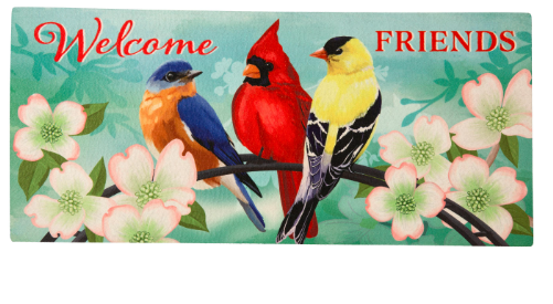 Welcome Friends Sassafras Switch Mat